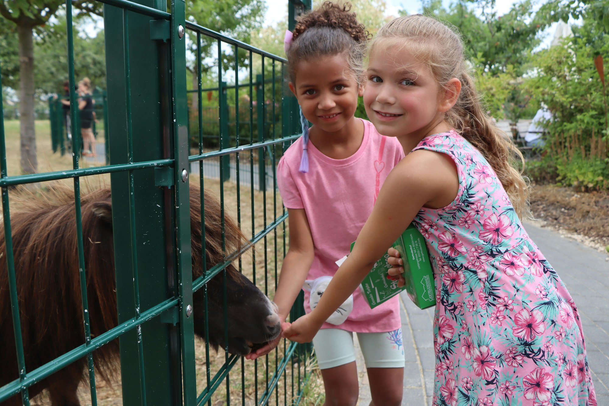 Zwei kleine Mädchen füttern ein Pony hinter einem Zaun.