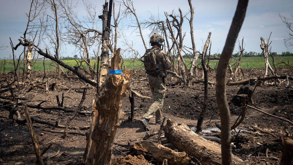 Ein ukrainischer Soldat läuft über gelockerte Erde, überall stehen zerstörte Bäume.