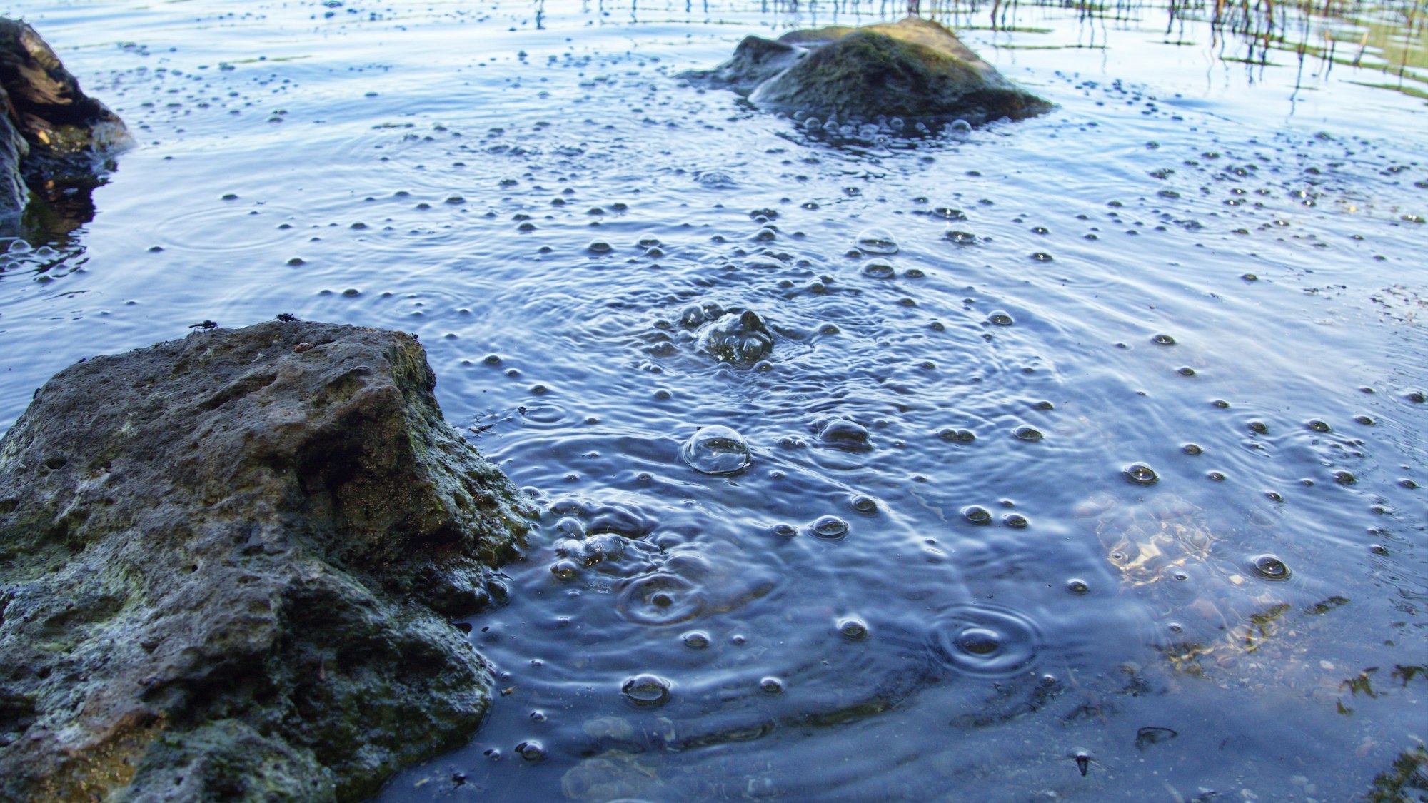 Mofetten sprudeln aus dem Laacher See.