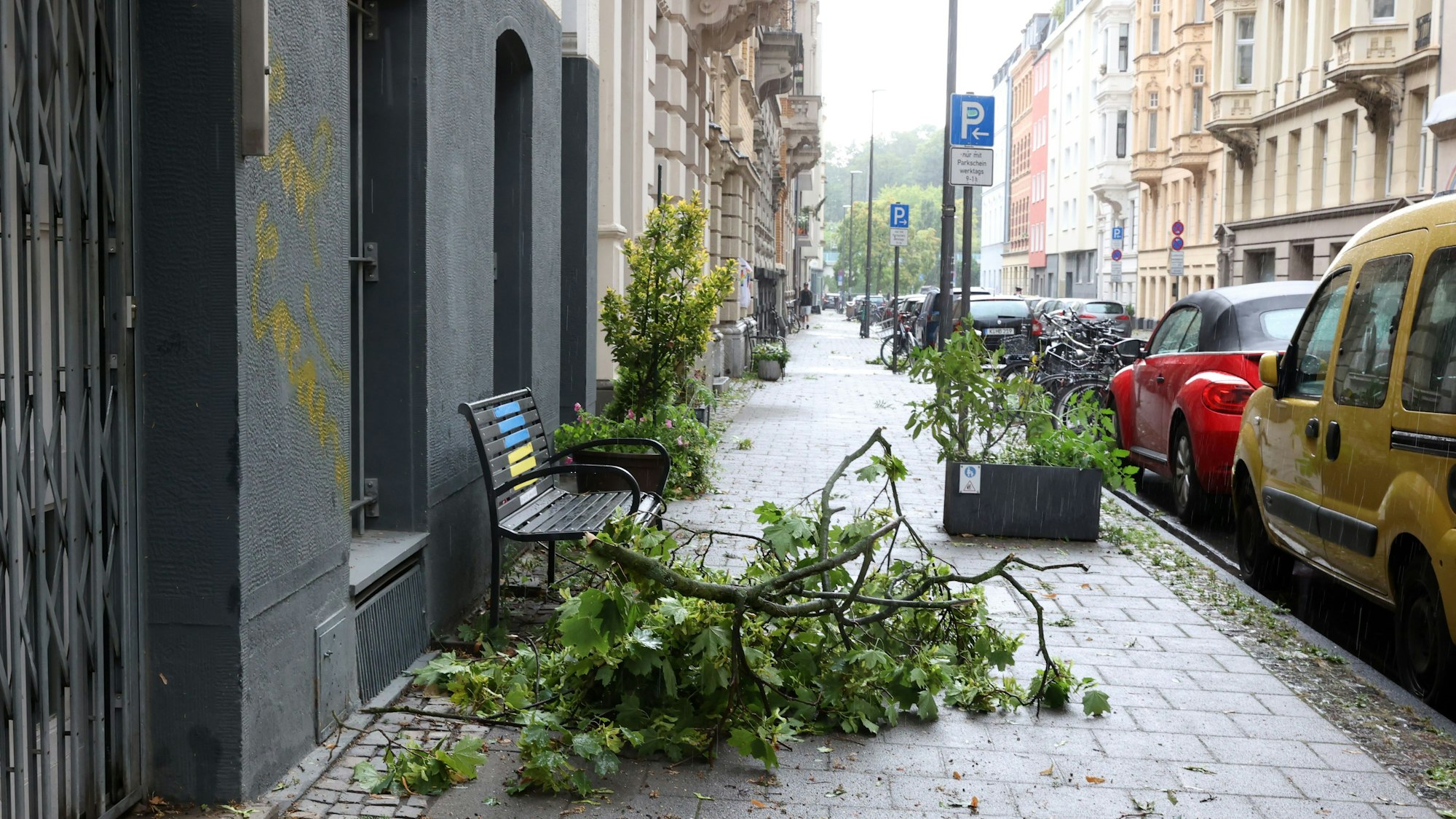 Unwetter in Köln am 24. Juli: Auch außerhalb des Stadtgartens kamen Äste durch die Windböen herunter.

