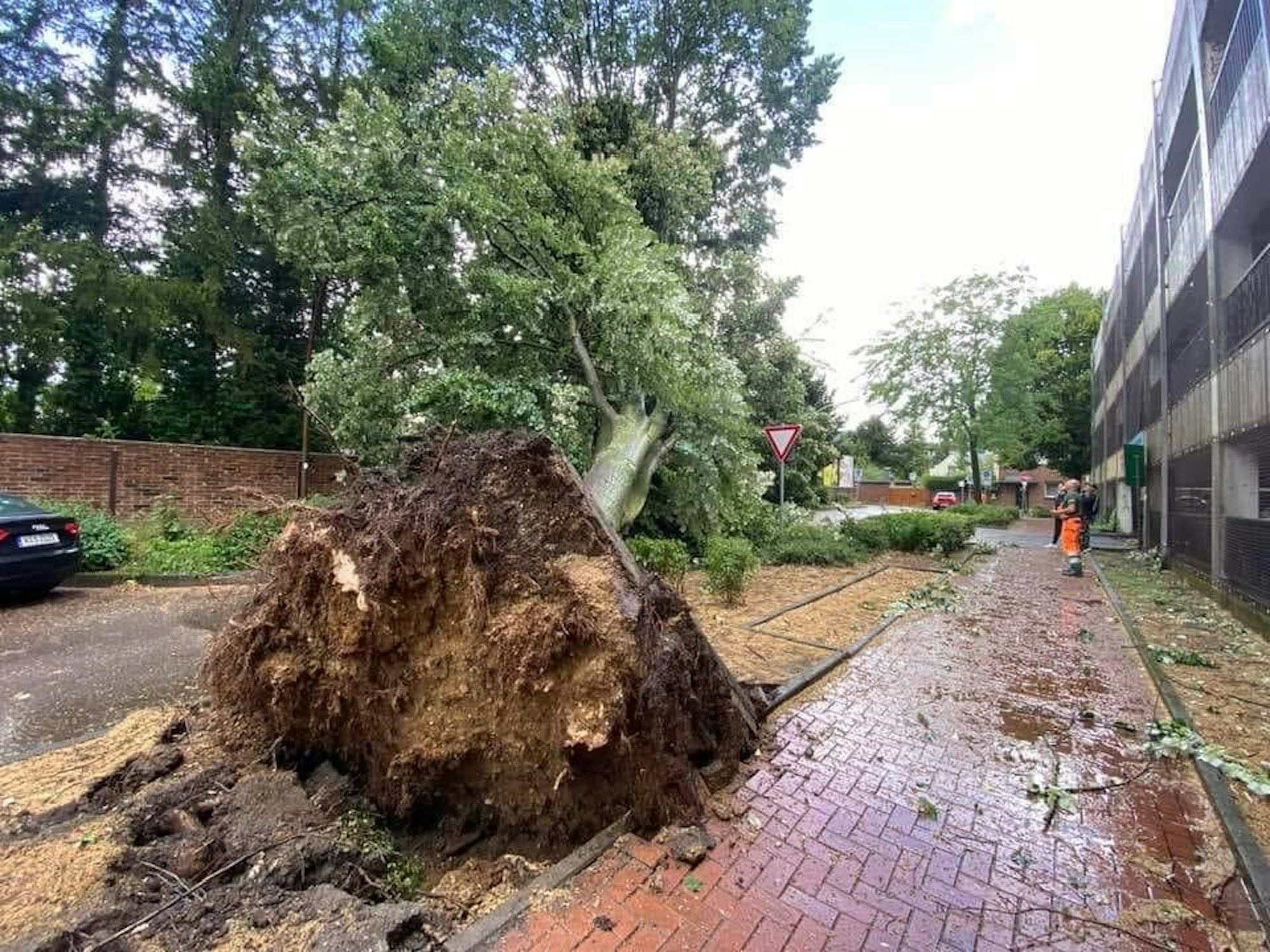 Ein Baum wurde samt Wurzel aus dem Boden gerissen und liegt neben einem Parkhaus.