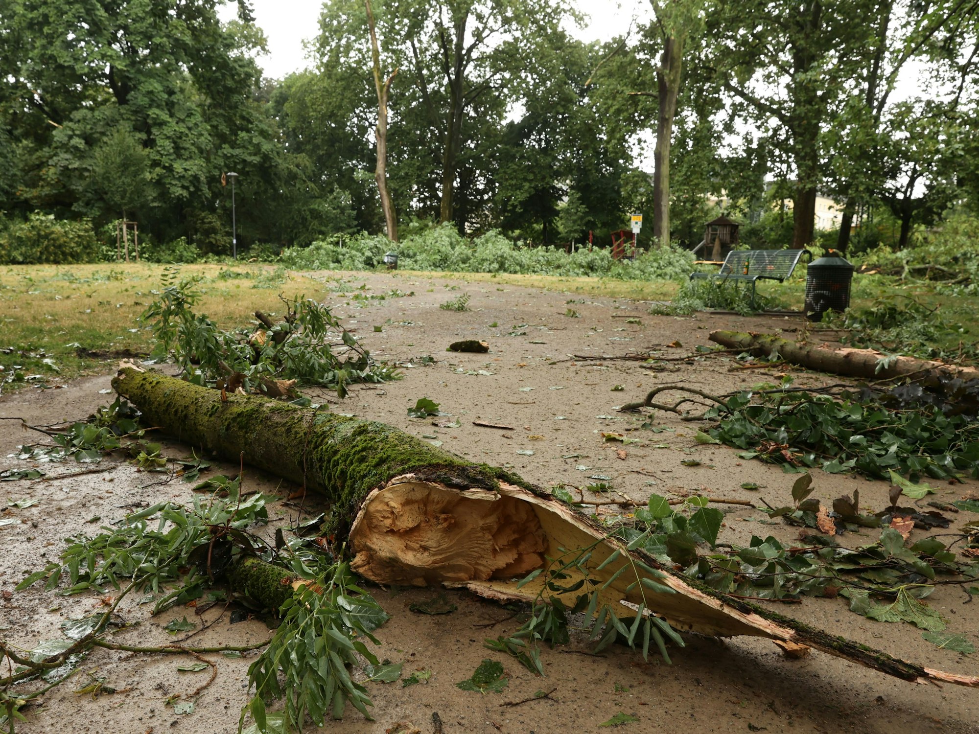 Gewitterschäden im Kölner Stadtpark nach dem schweren Gewitter am Montag.