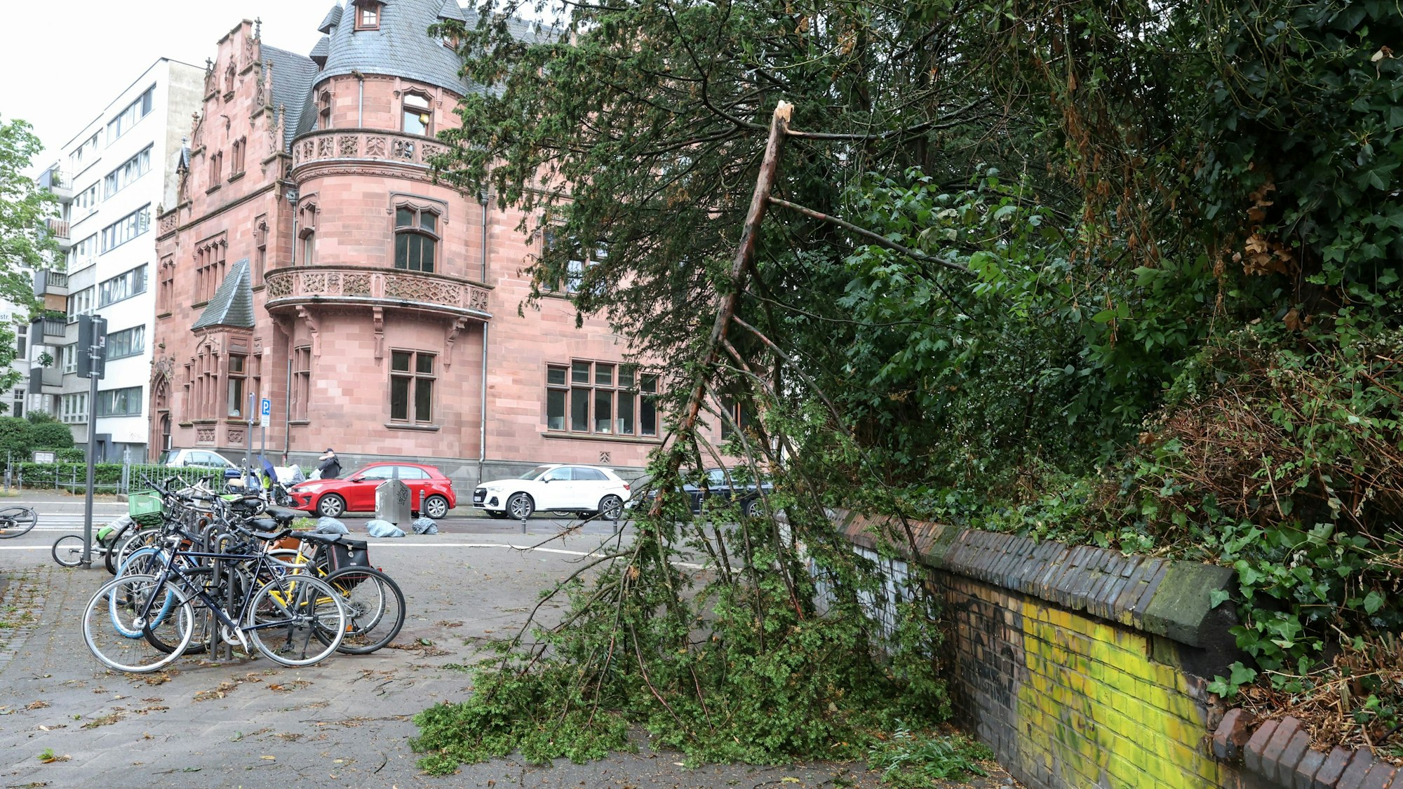 Unwetter in Köln am 24. Juli: Windböen haben teilweise auch große Äste erfasst.

