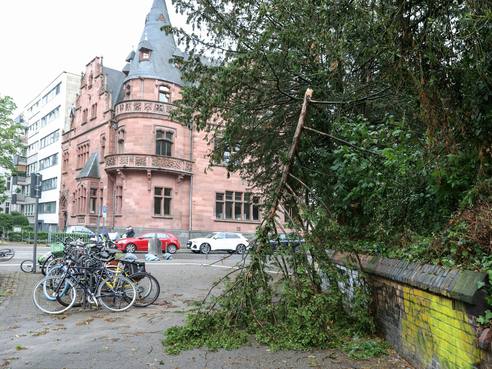 Gewitterschäden im Kölner Stadtpark nach dem schweren Gewitter am Montag.

