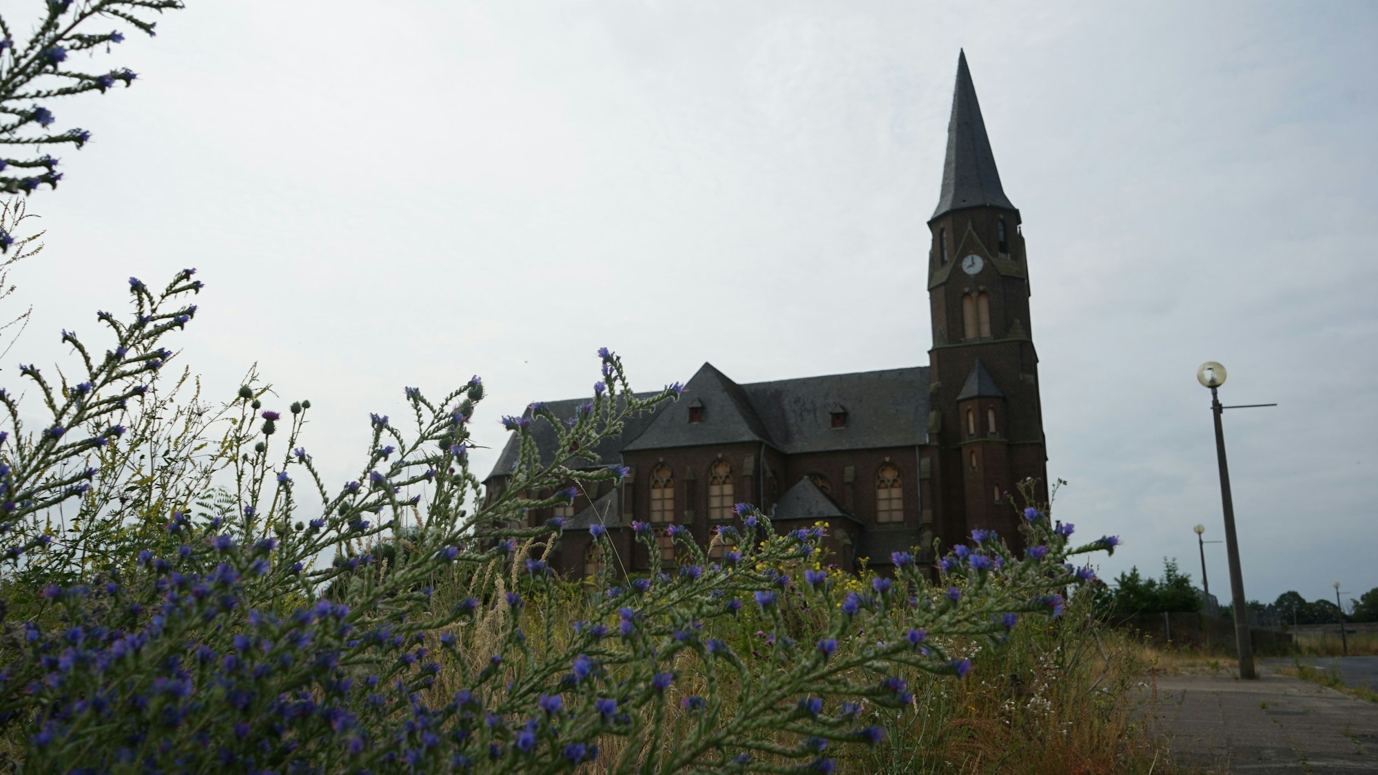 Das Bild zeigt die alte Kirche in Manheim, die Fenster sind verrammelt. Im Vordergrund wachsen Wildblumen.