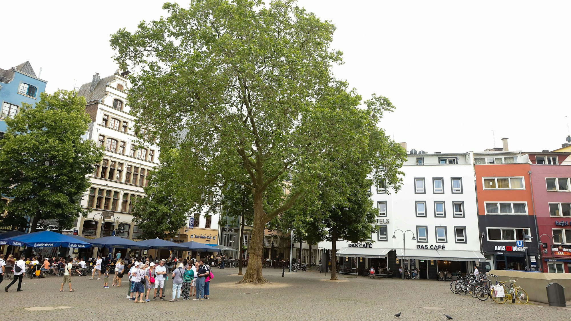 Der Alter Markt 2023 mit Bäumen und Menschen.