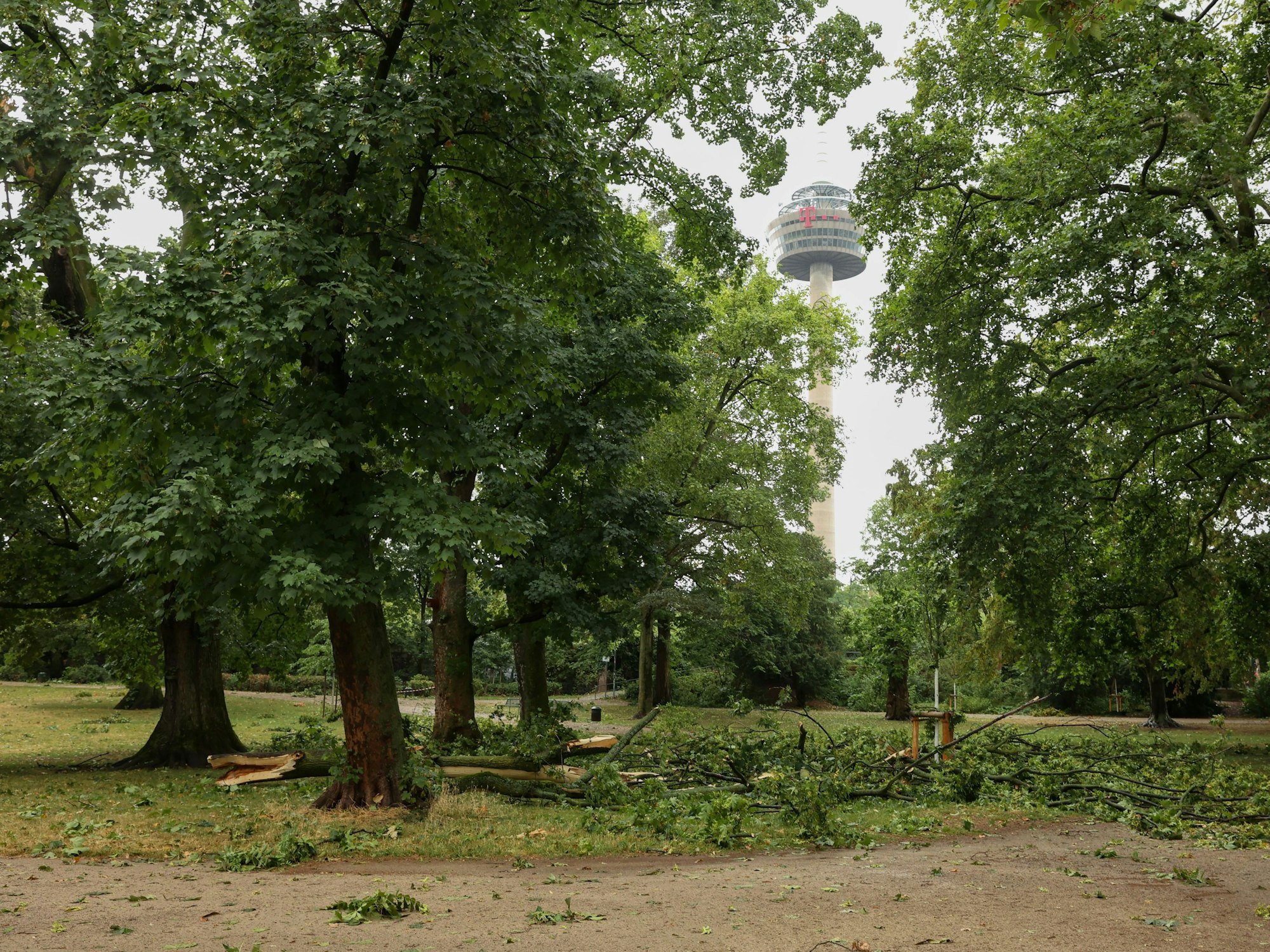 Gewitterschäden im Kölner Stadtpark nach dem schweren Gewitter am Montag.

