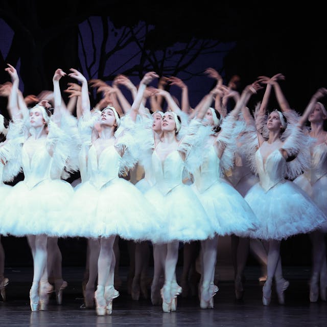 Tänzerinnen als „Schwäne“ tanzen bei einer Fotoprobe von John Neumeiers Ballett „Illusionen – wie Schwanensee“ auf der Bühne in der Staatsoper