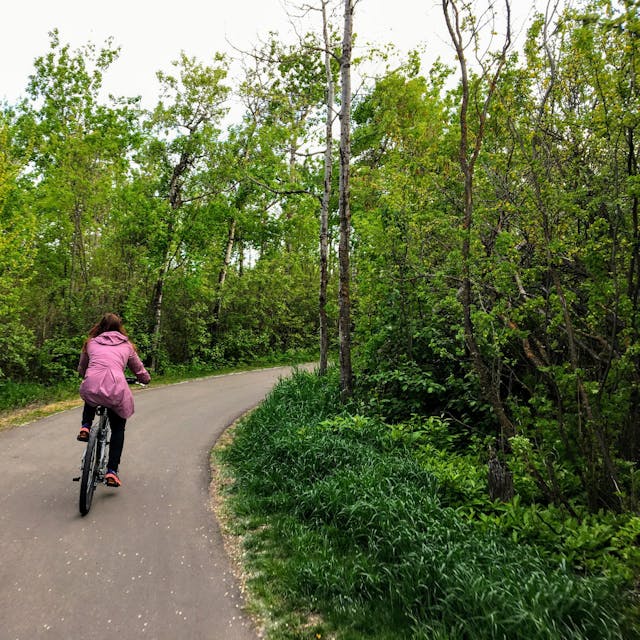 Eine Frau fährt mit dem Fahrrad durch einen Wald