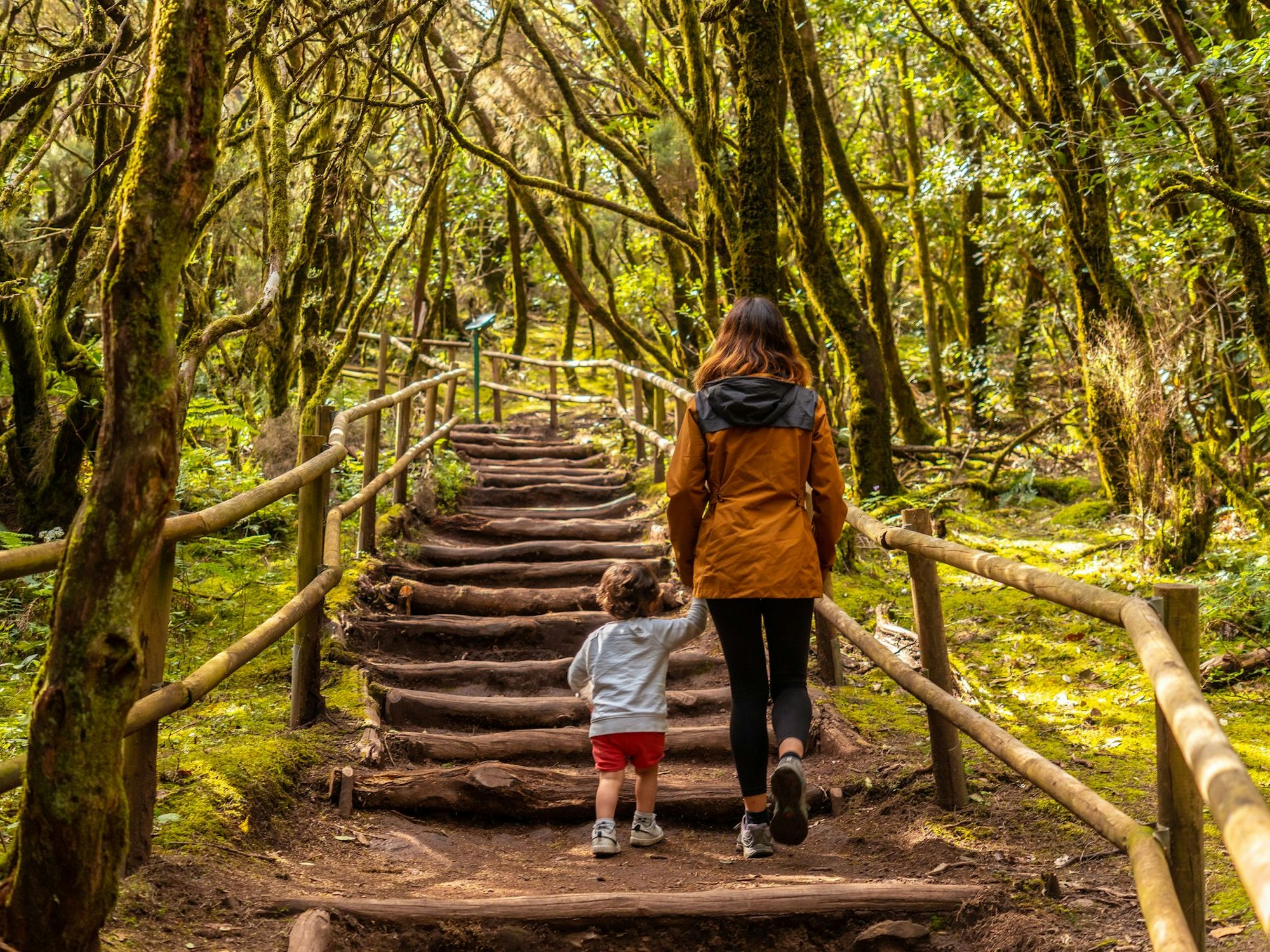 Mutter und Sohn erklimmen einen natürlichen Pfad im grünen Wald.