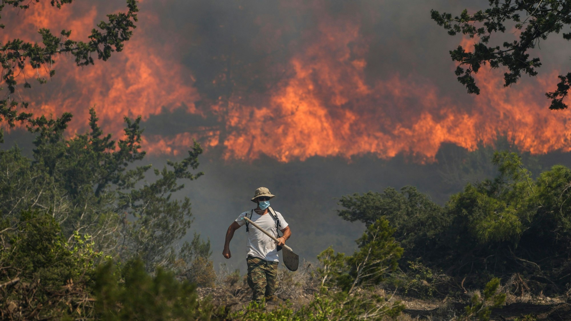 Griechenland, Rhodos: Ein Wald steht in Flammen im Dorf Vati.