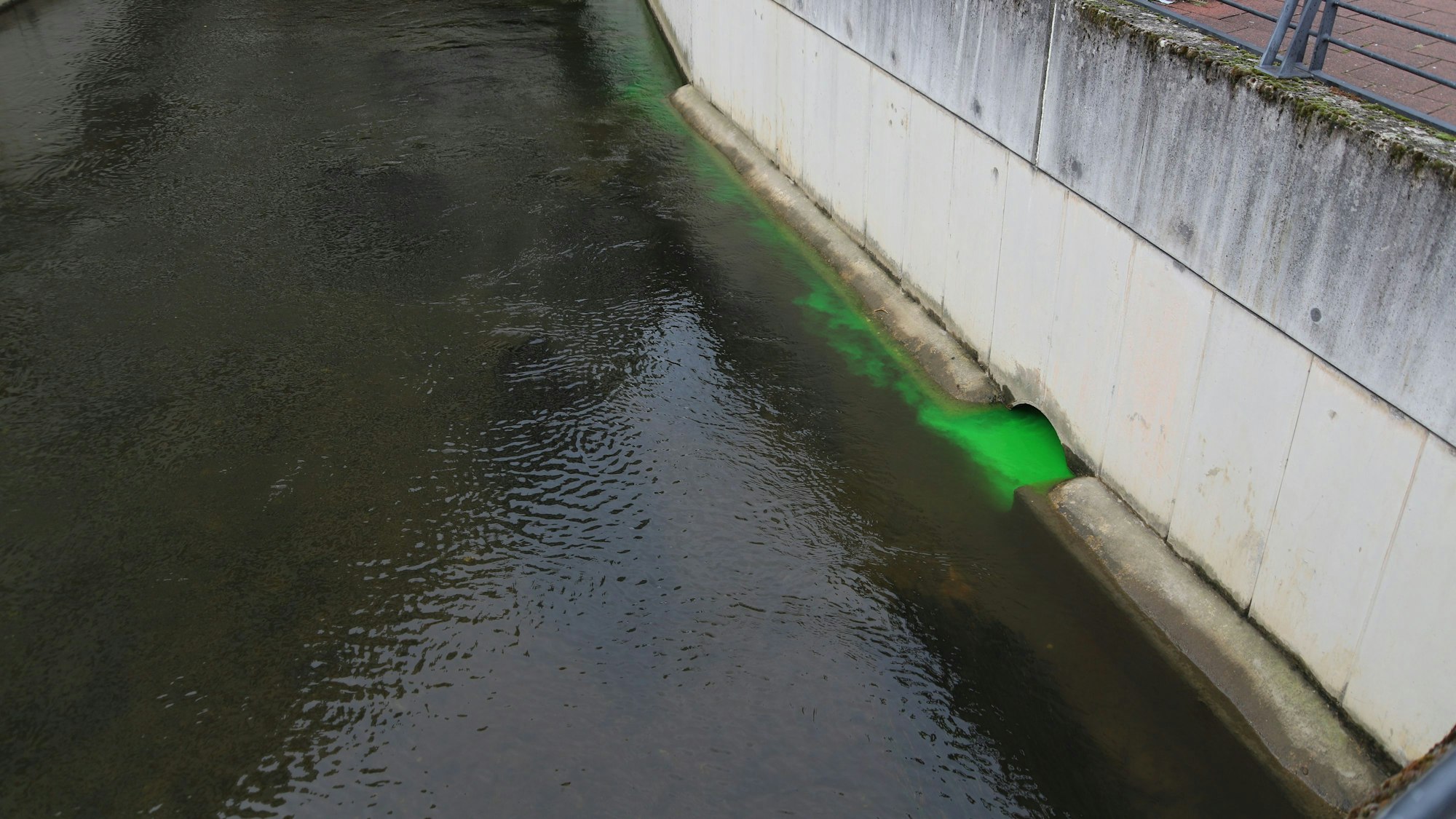 Grüne Farbe in einem Gewässer.