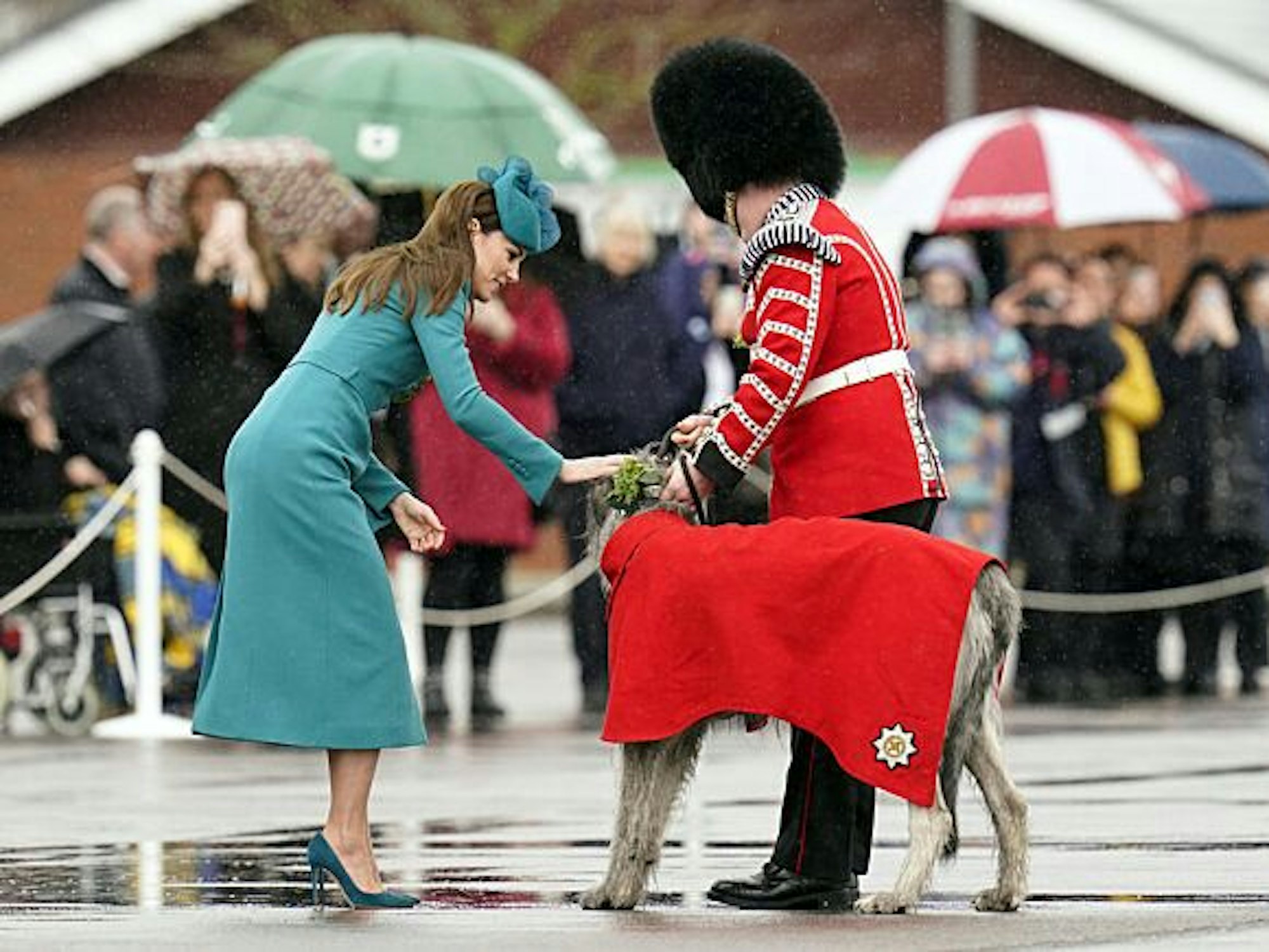 Kate (l), Prinzessin von Wales, steckt dem irischen Wolfshund-Maskottchen Seamus bei ihrem Besuch des 1. Bataillons der irischen Garde anlässlich der St. Patrick's Day Parade in der Mons-Kaserne ein Kleeblatt ans Halsband.