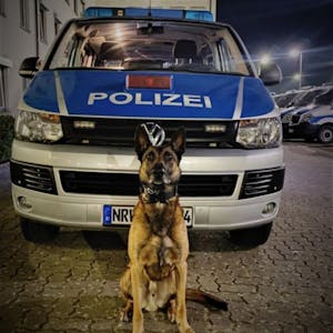 Ein Polizeihund der Kölner Polizei (Symbolbild)