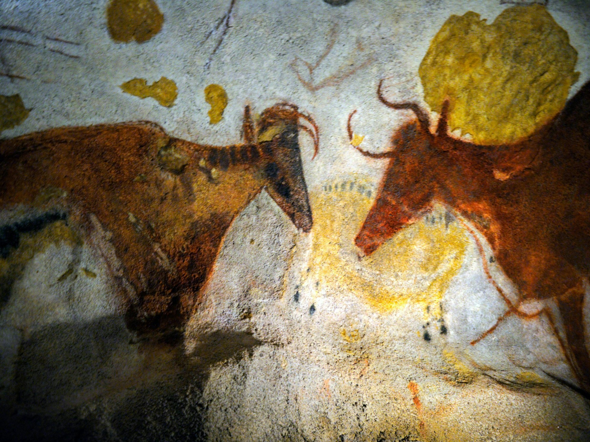 Hier zu sehen: Zwei braune Bullen sind an die Höhlenwand der Lascaux-Höhle in Frankreich gemalt. Es handelt sich um ein Bild aus der nachgebauten Höhle.