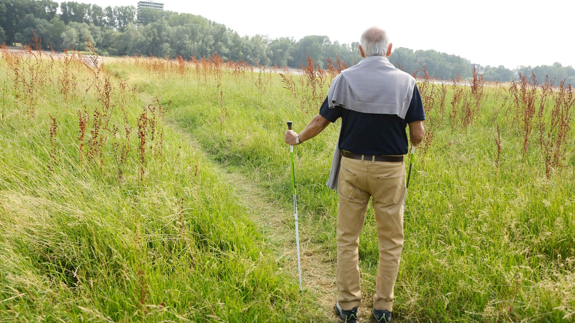 Ein Wanderer geht auf dem Feldweg durch das hohe Gras der Westhovener Aue.
