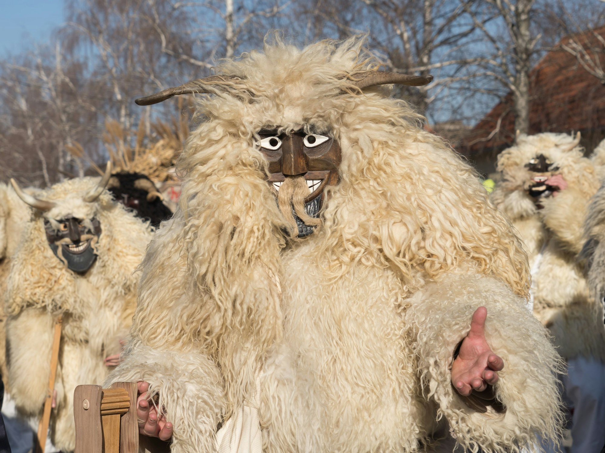 Eine Gruppe mit Schafkostümen bei einem Karnevalsumzug.
