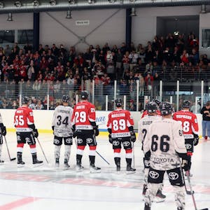 Die Mannschaft der Kölner Haie auf dem Eis vor Fans beim ersten Training der Saisonvorbereitung 2023/2024.