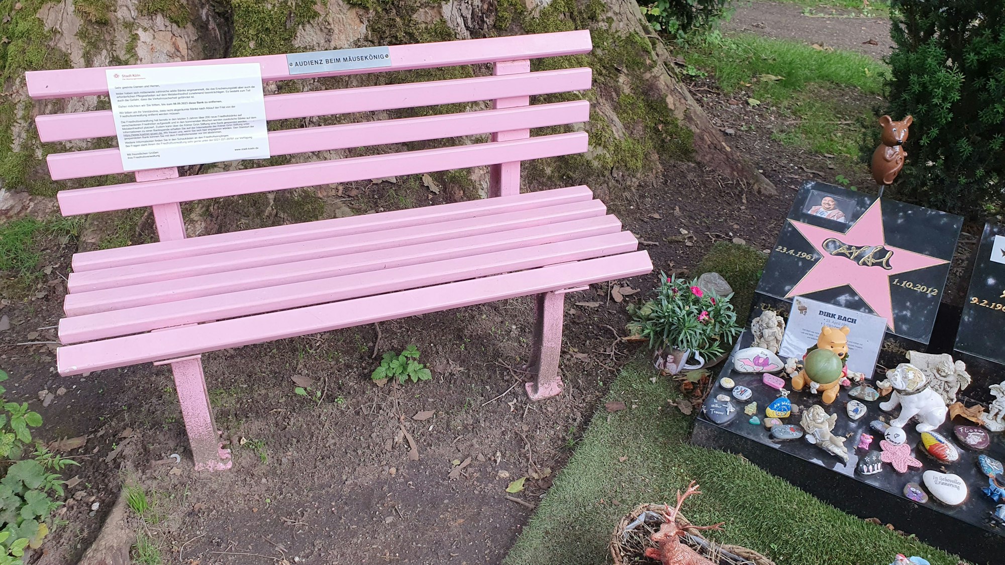 Eine rosa Sitzbank neben dem Grab von Dirk Bach auf dem Melatenfriedhof.