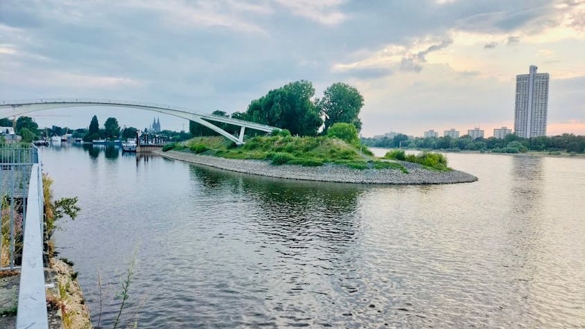 eine Brücke führt zu einer Insel im Rhein&nbsp;
