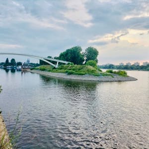 eine Brücke führt zu einer Insel im Rhein&nbsp;