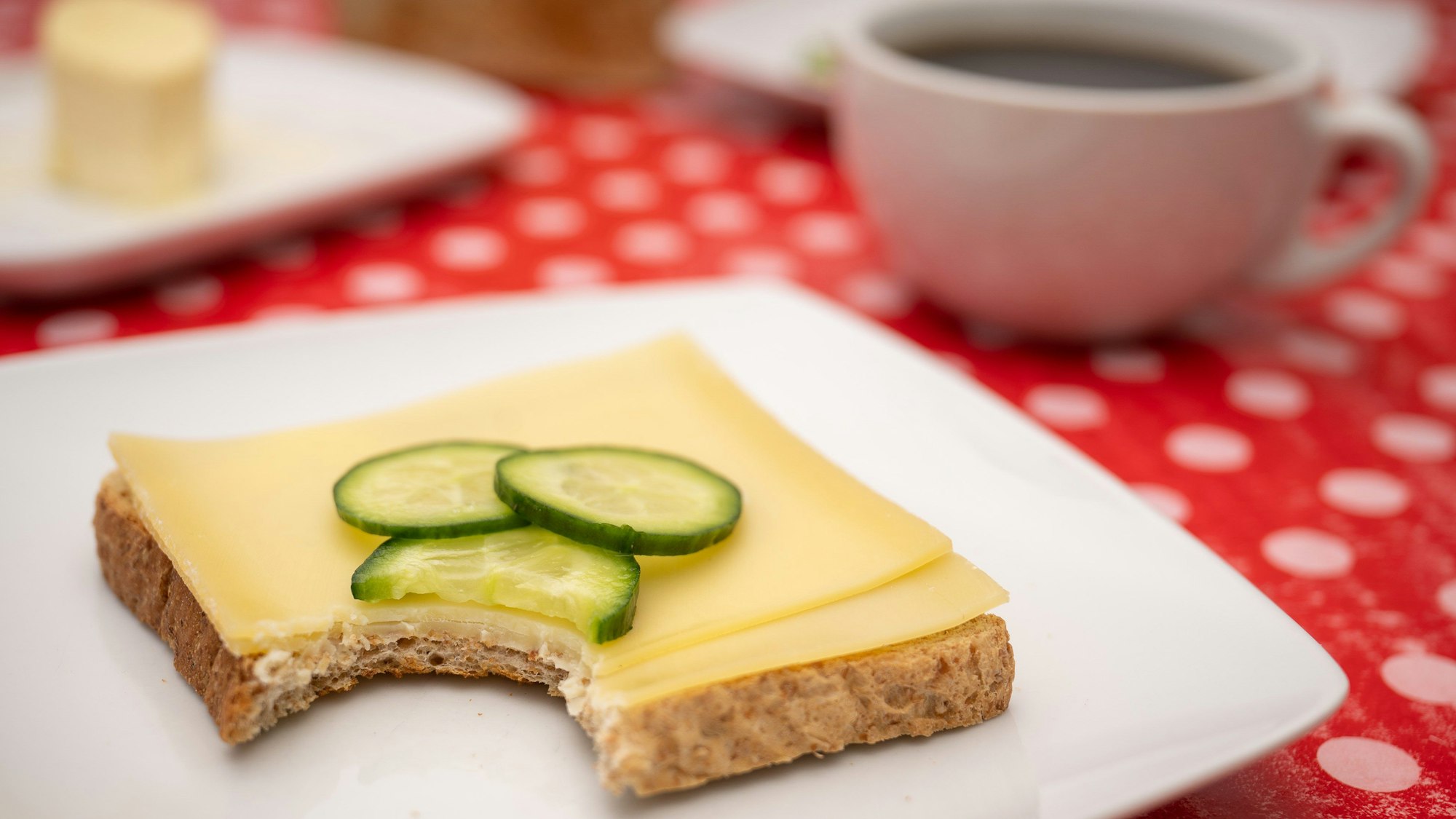 Ein Toastbrot mit Käse liegt auf einem Teller.