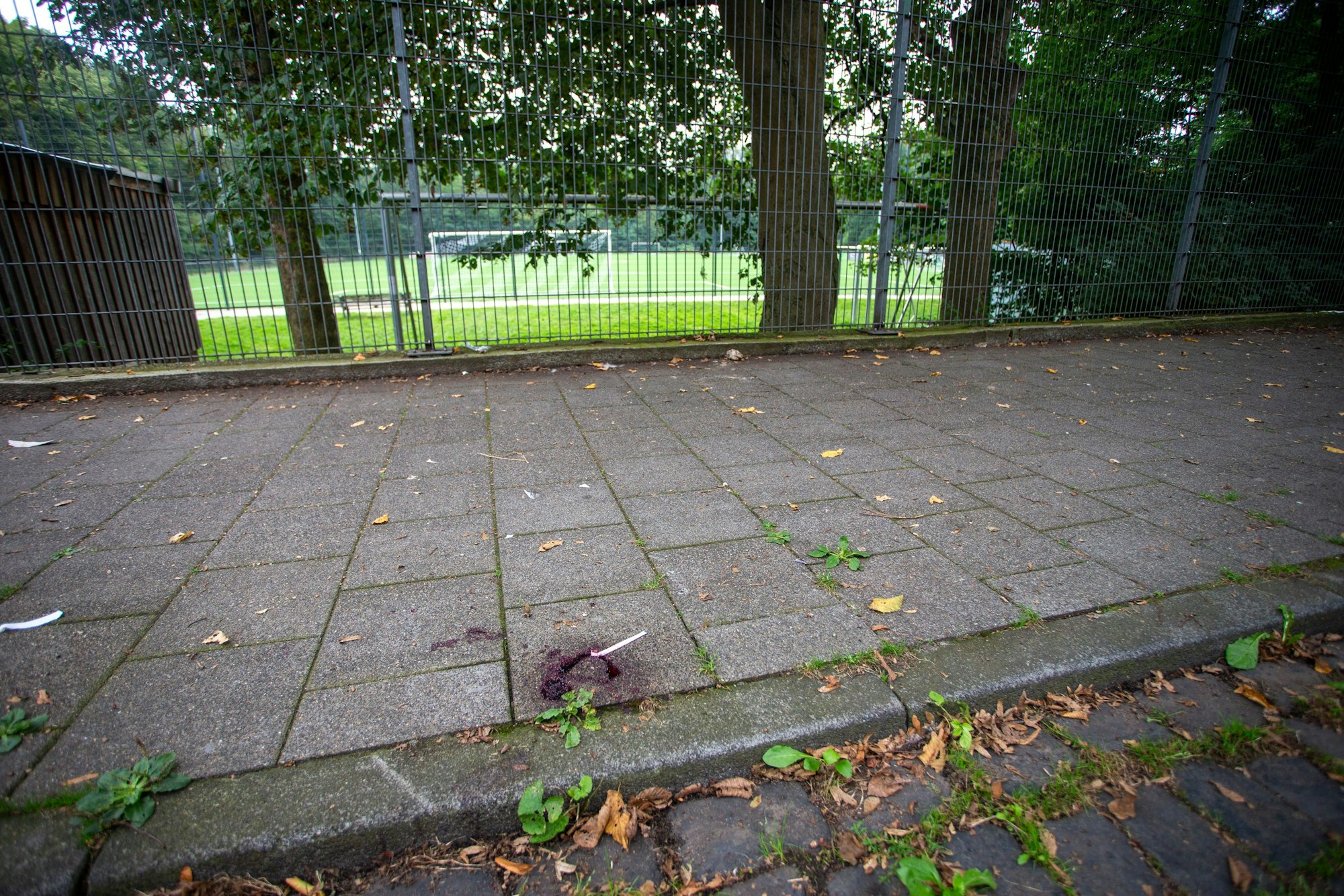 Blutflecken markieren den Tatort am Sportplatz in Buchheim.