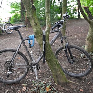 Ein Fahrrad steht an einen Baum festgekettet in einem Waldstück.