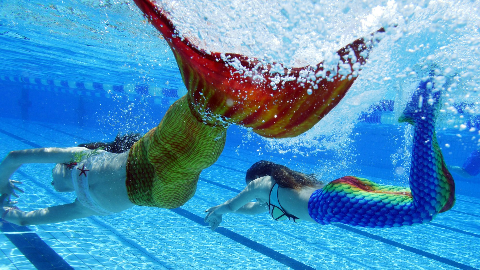 Im Freibad „Sonnenbad“ in Karlsruhe (Baden-Württemberg) schwimmen Teilnehmer des dritten baden-württembergischen Meerjungfrauen-Treffen durch das Wasser des Beckens
