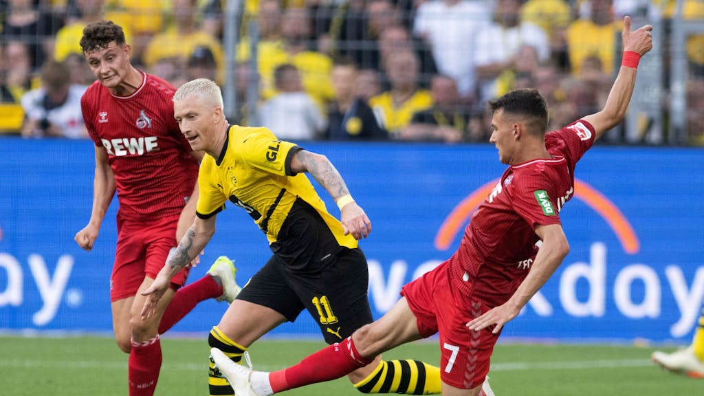 Dortmunds Marco Reus (M) und Dejan Ljubicic von Köln in Aktion.