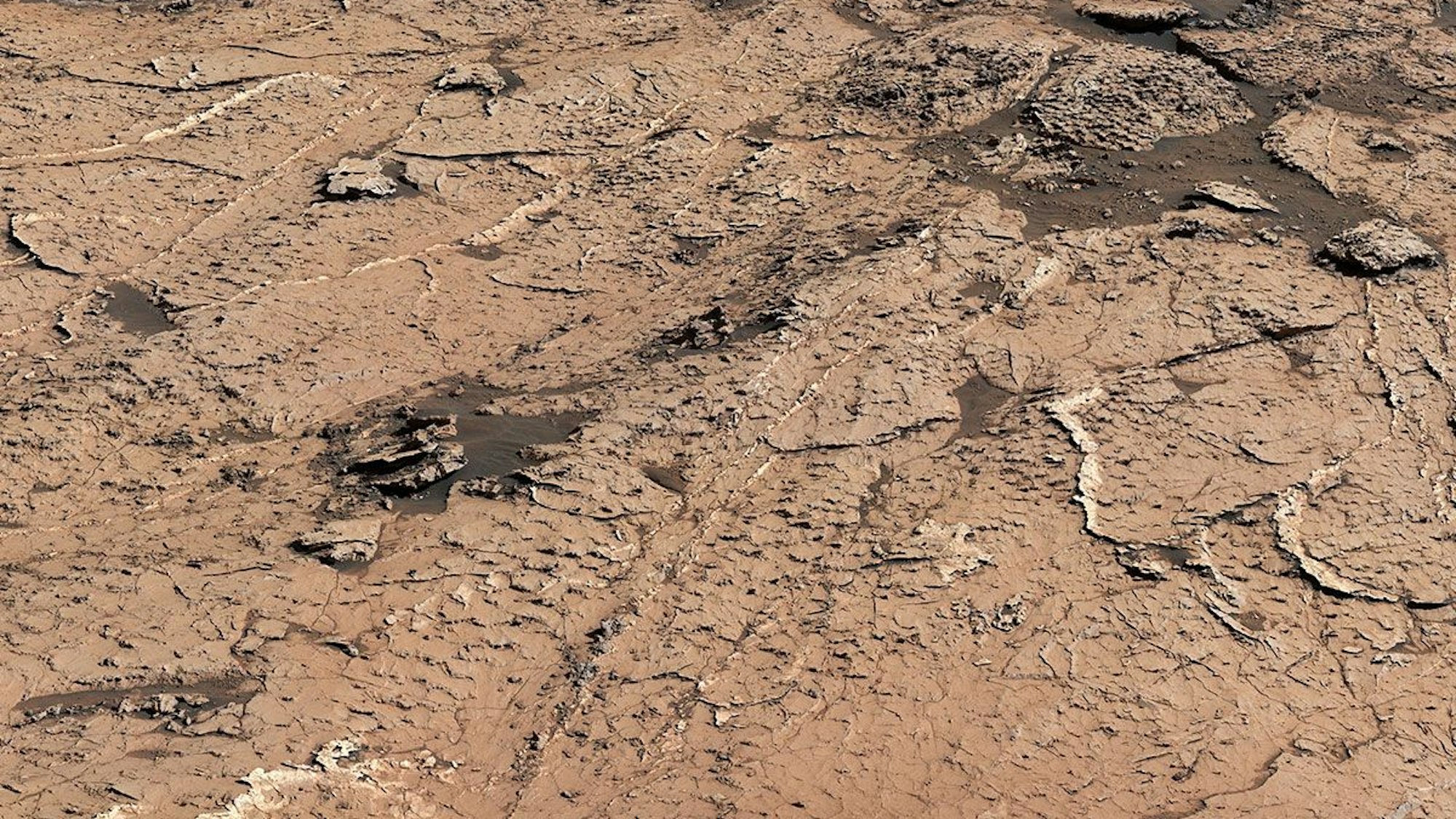 Eine Aufnahme des Mars-Rovers „Curiosity“ zeigt die sechseckigen Schlammplatten auf der Oberfläche des Mars. Forscher der Nasa sehen darin Hinweise auf erdähnliche Bedingungen auf dem Mars.
