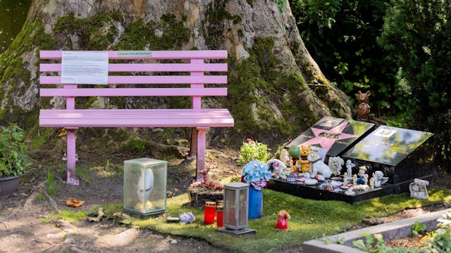 Eine rosafarbene Sitzbank steht vor einem Baum. Im Vordergrund sind Grablichter zu sehen.