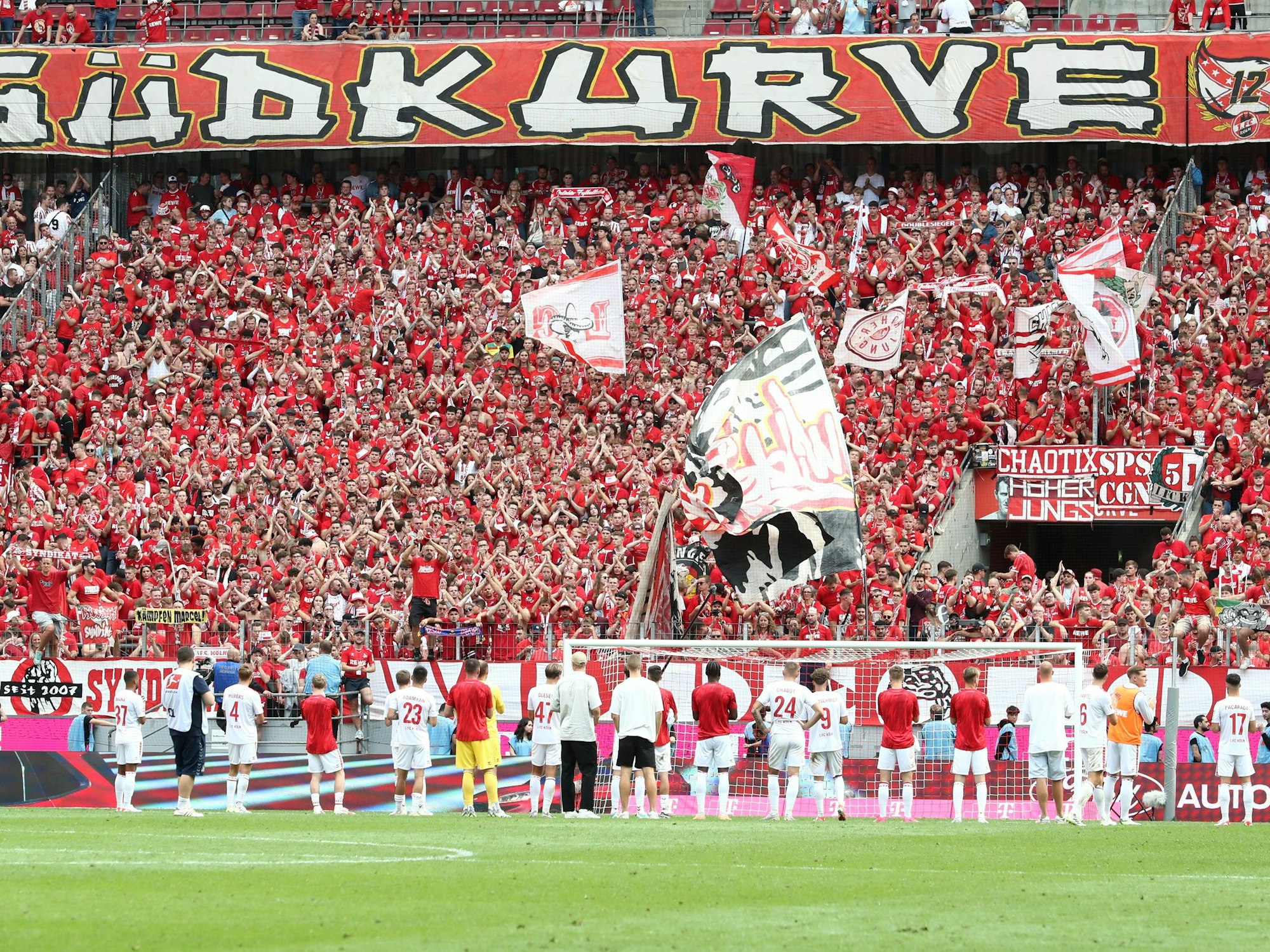 Nach dem Spiel gegen Wolfsburg bedanken sich die Spieler des 1. FC Köln bei den Fans auf der Südtribüne für den Support.








