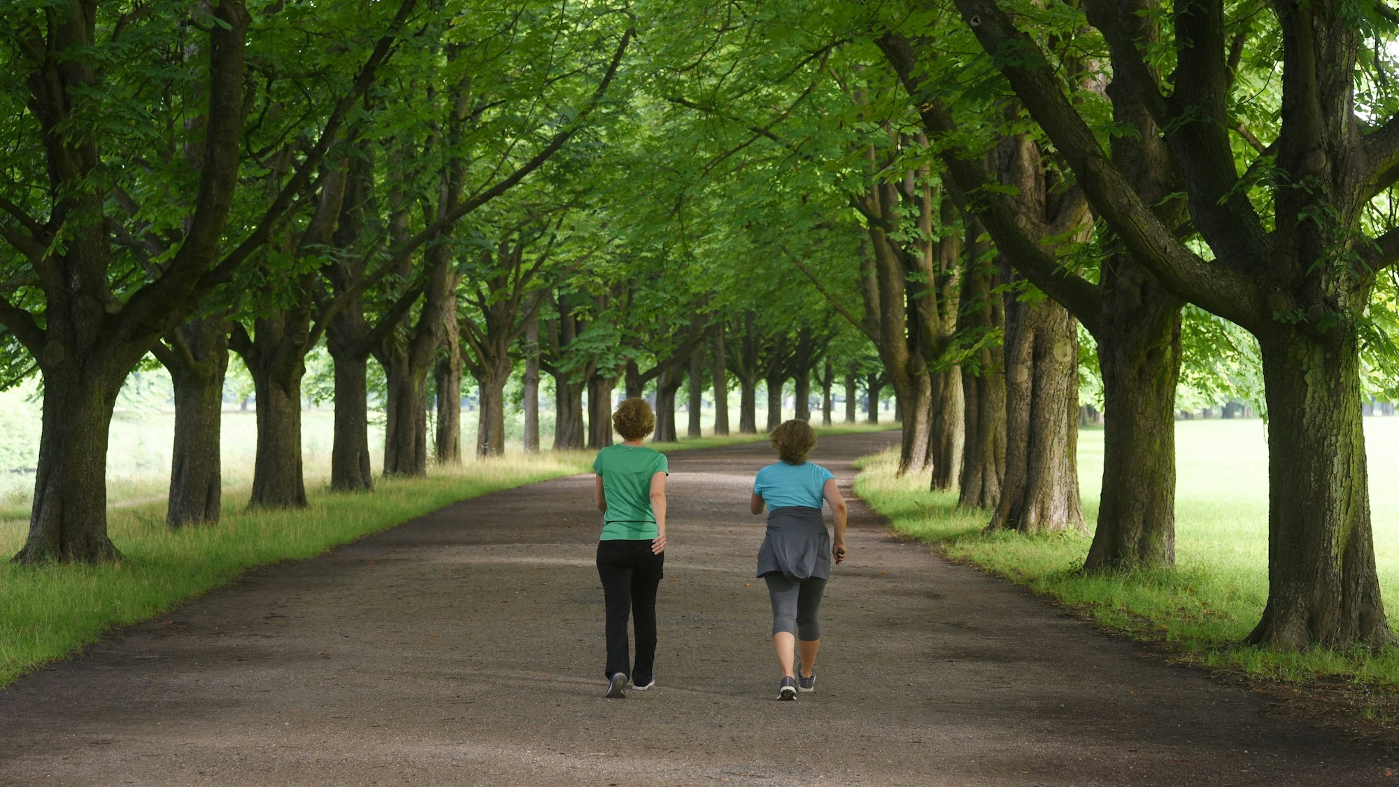 zwei Frauen gehen auf einem Weg zwischen Bäumen spazieren
