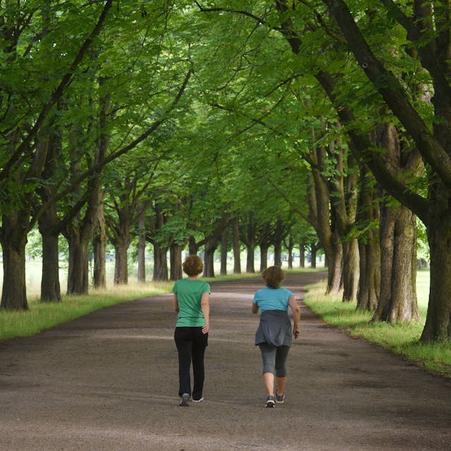 zwei Frauen gehen auf einem Weg zwischen Bäumen spazieren&nbsp;