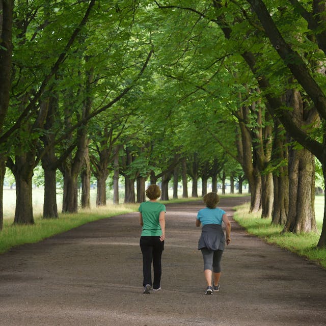 zwei Frauen gehen auf einem Weg zwischen Bäumen spazieren&nbsp;