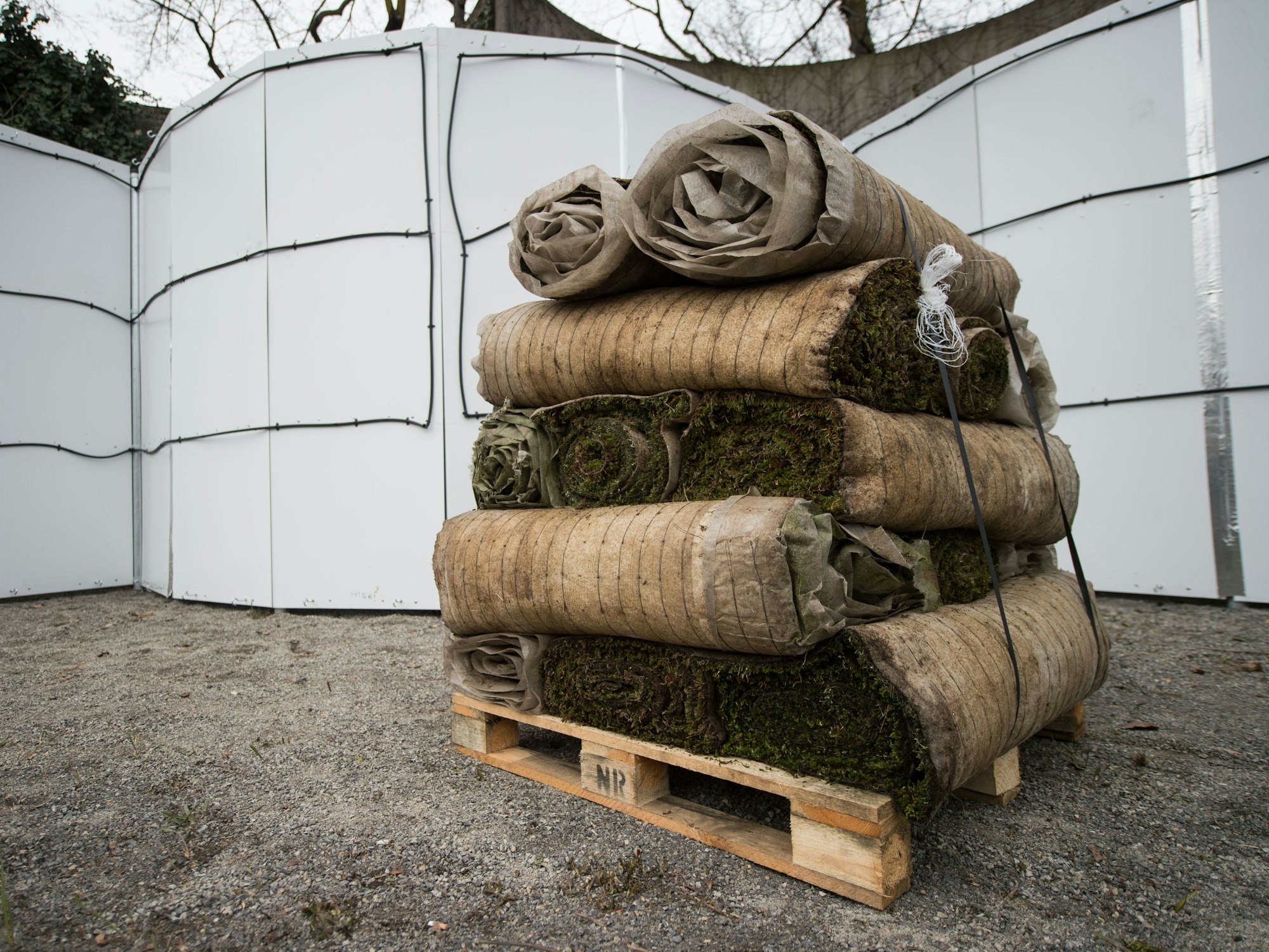 Eine Palette mit gerolltem Zackenmützenmoos steht 2017 in Stuttgart vor einer Bewässerungsanlage