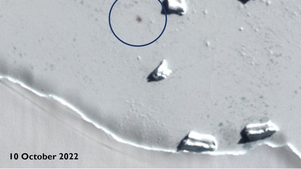 Das Satellitenbild zeigen Smyley Island am 10. Oktober 2022, der Kreis markiert den Standort einer Kaiserpinguin-Kolonie.