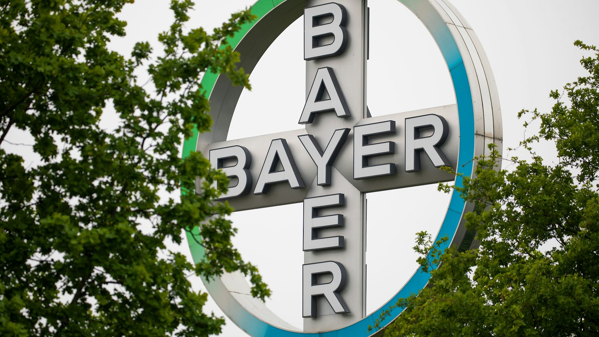 Das Bayer Kreuz, Logo des Unternehmens Bayer, steht zwischen Bäumen am Flughafen Köln/Bonn. Der Agrarchemie- und Pharmakonzern Bayer verkauft seine Tierarzneimittel-Sparte für 7,6 Milliarden US-Dollar (6,85 Mrd Euro) an den US-Konzern Elanco. Das teilte Bayer am Dienstag in Leverkusen mit. +++ dpa-Bildfunk +++