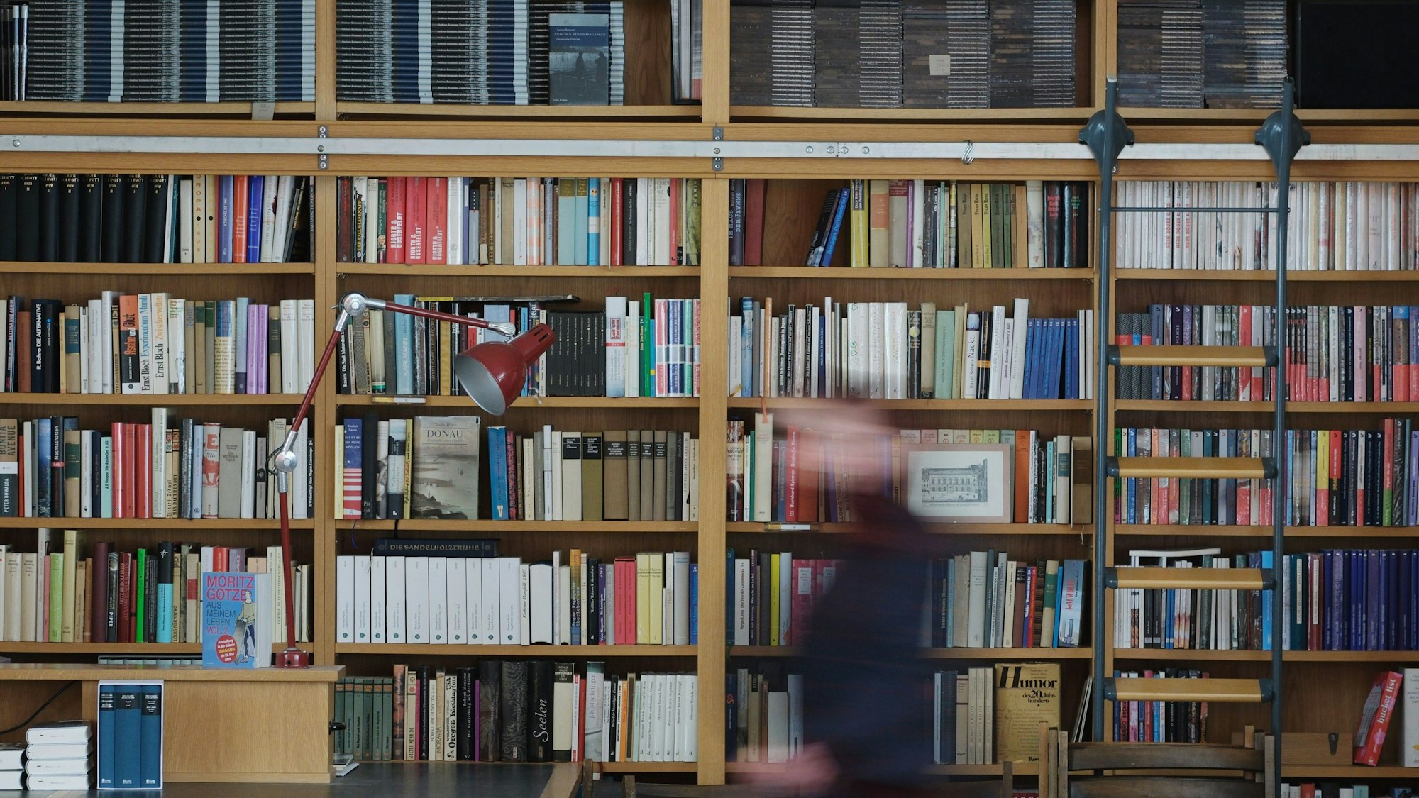 Blick auf ein Regal mit Büchern in der Connewitzer Verlagsbuchhandlung.
