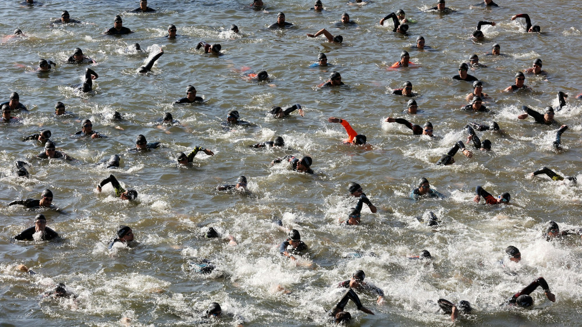 Schwimmer im Rhein beim Köln-Triathlon.