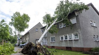 &nbsp;Ein Baum ist umgestürzt und auf das Dach eines Hauses gefallen. Einen Tag nach dem Tornado haben in der Innenstadt die Aufräumarbeiten begonnen.