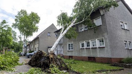 &nbsp;Ein Baum ist umgestürzt und auf das Dach eines Hauses gefallen. Einen Tag nach dem Tornado haben in der Innenstadt die Aufräumarbeiten begonnen.