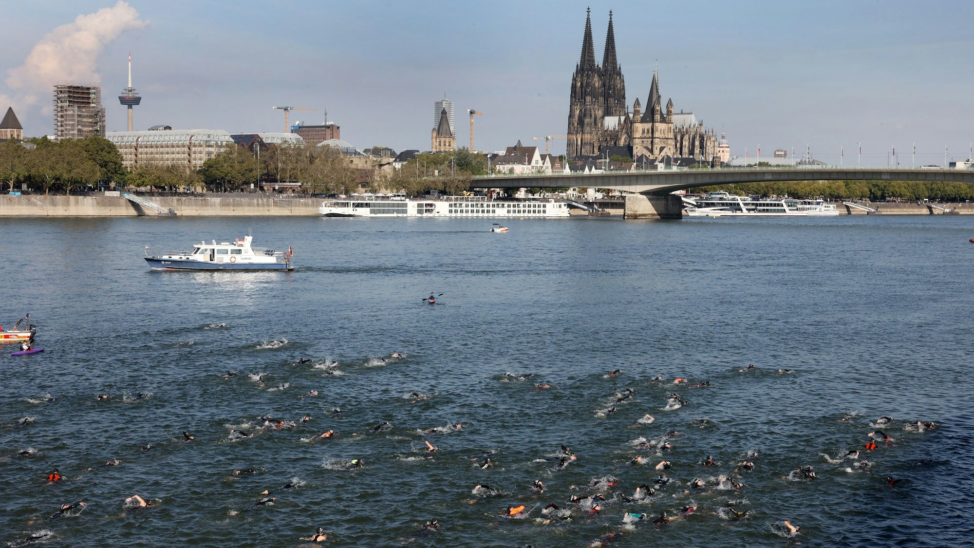 Triathleten schwimmen im Rhein, im Hintergrund ist der Kölner Dom zu sehen.