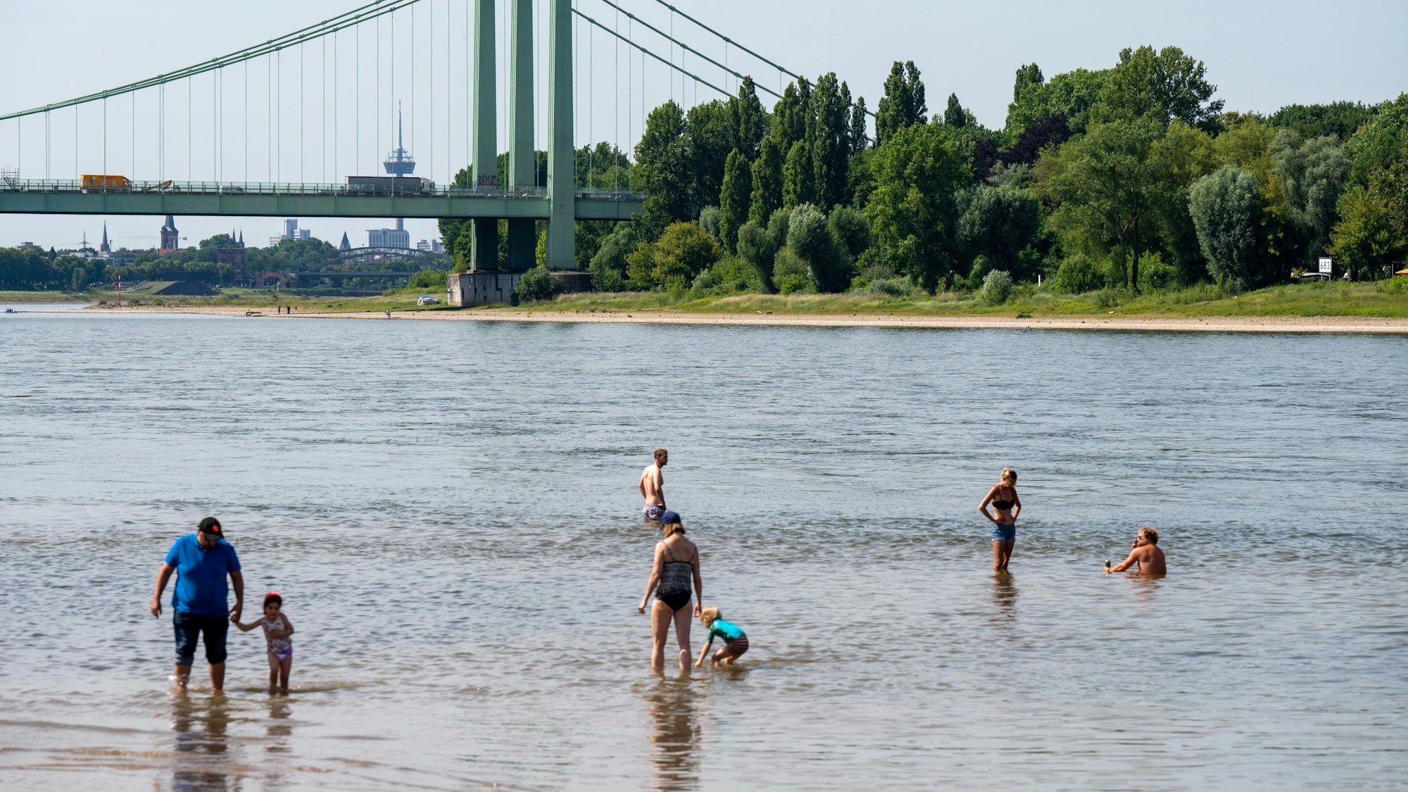 Menschen baden an der Rodenkirchener Riviera im Rhein.