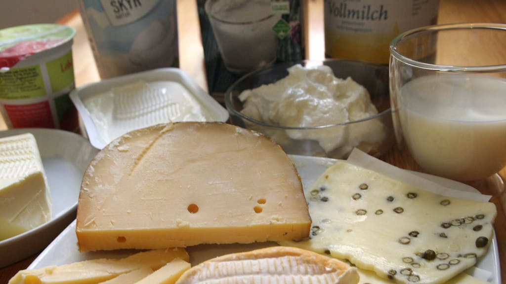 Eine Auswahl an Käse- und Milchprodukten steht auf einem Tisch.