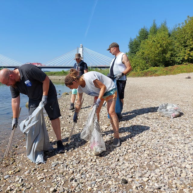 Menschen sammeln am Rheinufer Müll.