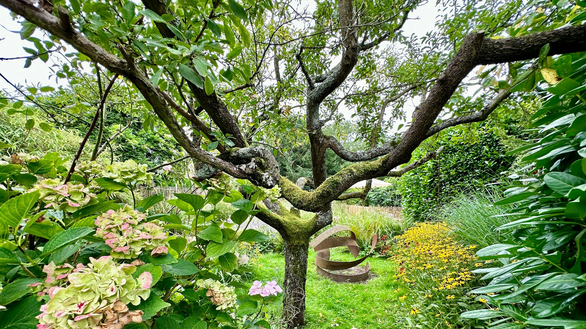 Ein Baum mit vielen Ästen steht auf einem Stück Rasen. in der Bildmitte. Drumherum sind Hecken und Pflanzen und Blüten zu sehen. Eine Skulptur ist auf dem Rasen zu sehen.