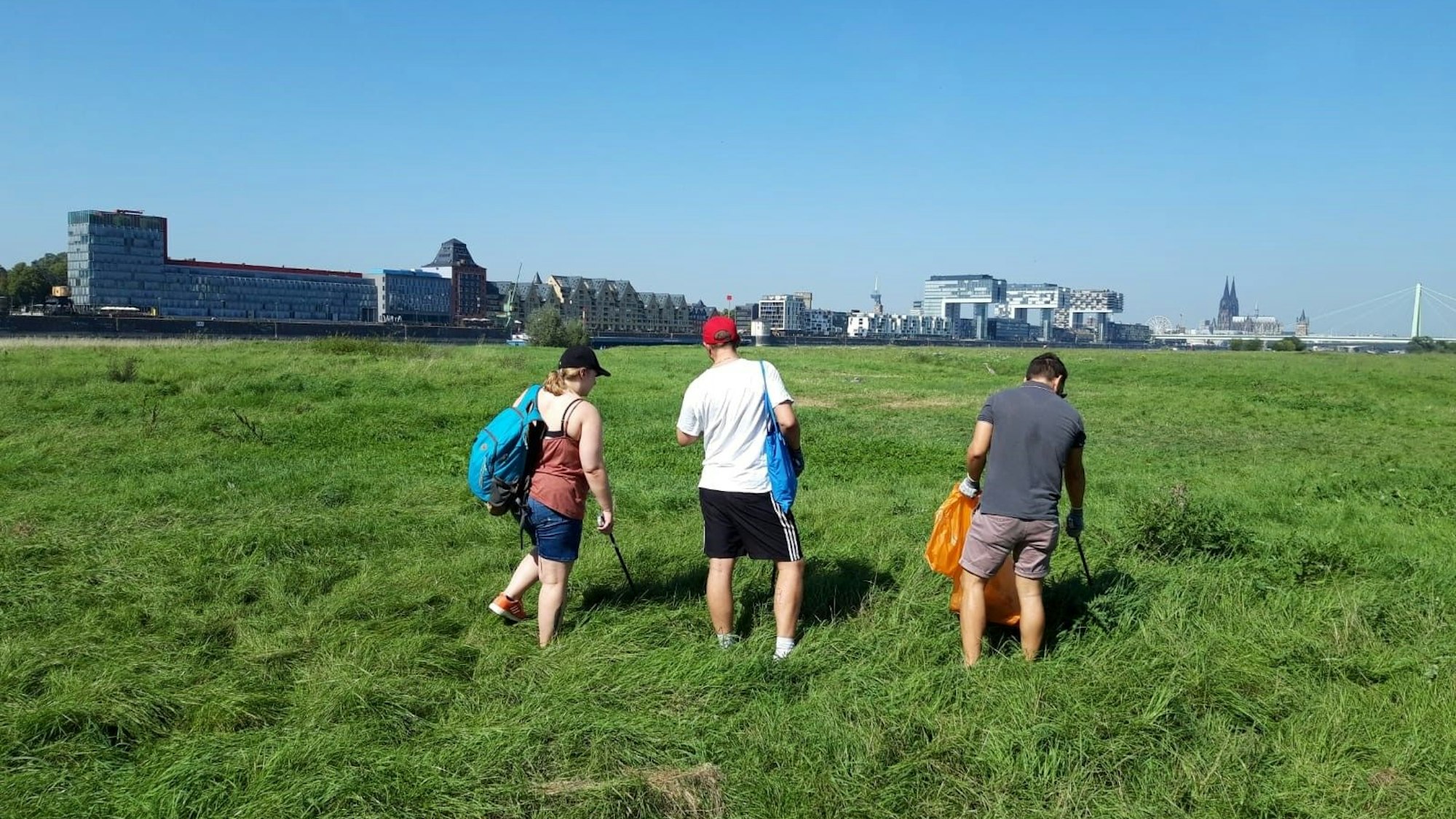 Menschen sammeln Müll auf den Poller Wiesen beim RheinCleanUp 2023 in Köln.