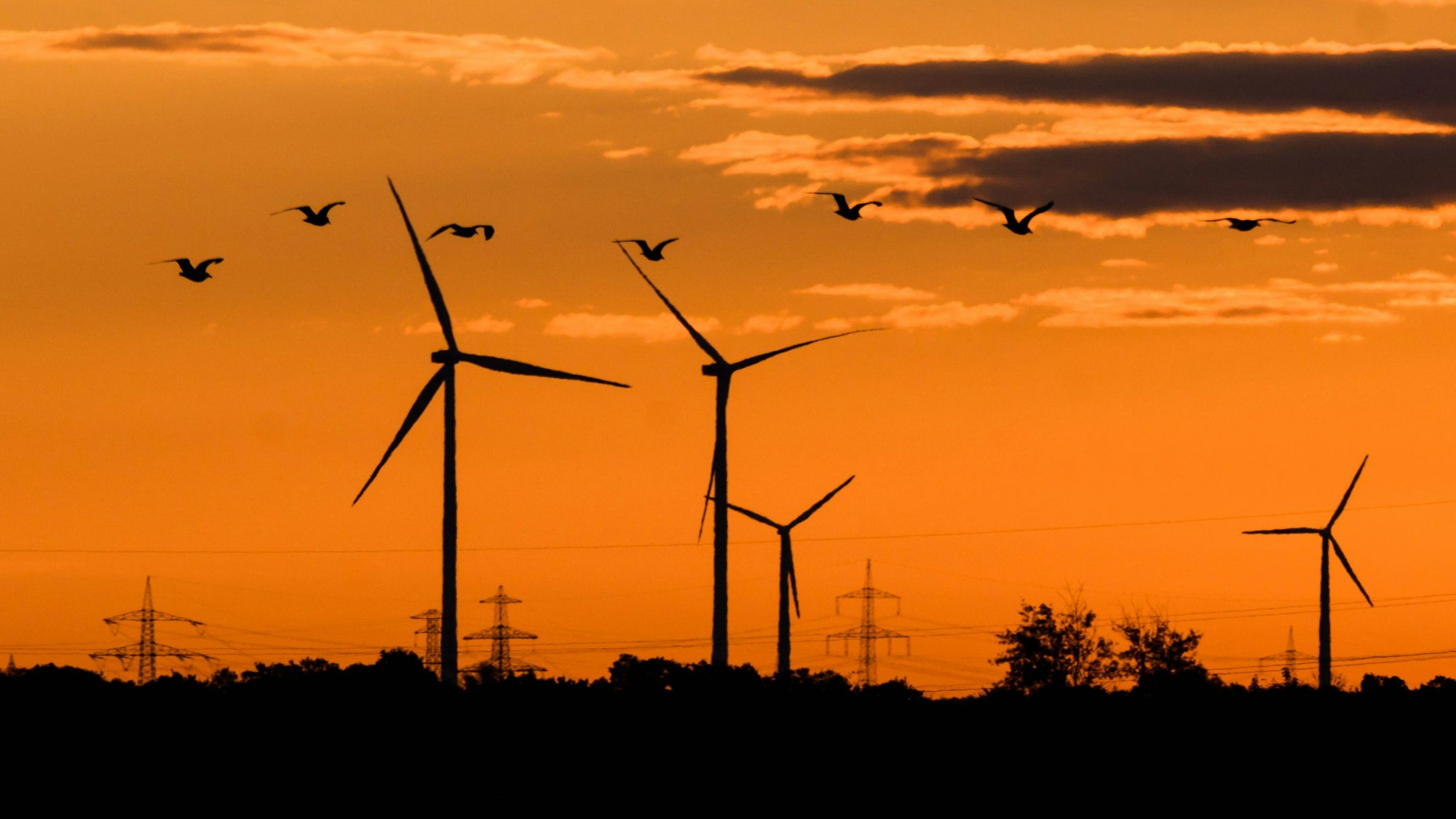 Vögel fliegen bei Sonnenaufgang an Windkraftanlagen vorbei.